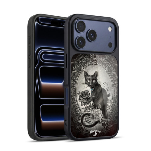 Alchemy Gothic Cats Paracelsus Gel Armour Case For Apple iPhone 17 Pro