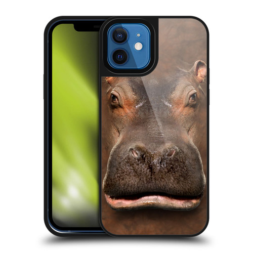 Vincent Hie Big Face Animals Hippo Gel Armour Case For Apple iPhone 12 / iPhone 12 Pro
