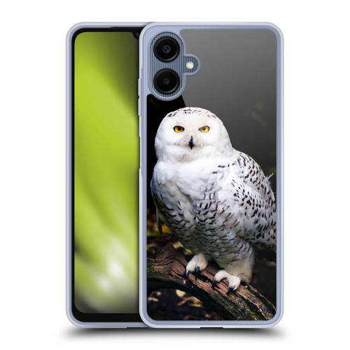 Patrik Lovrin Animal Portraits Majestic Winter Snowy Owl Soft Gel Case for Samsung Galaxy A06 4G / 5G