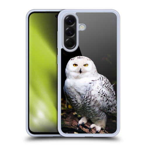 Patrik Lovrin Animal Portraits Majestic Winter Snowy Owl Soft Gel Case for Samsung Galaxy A56 5G