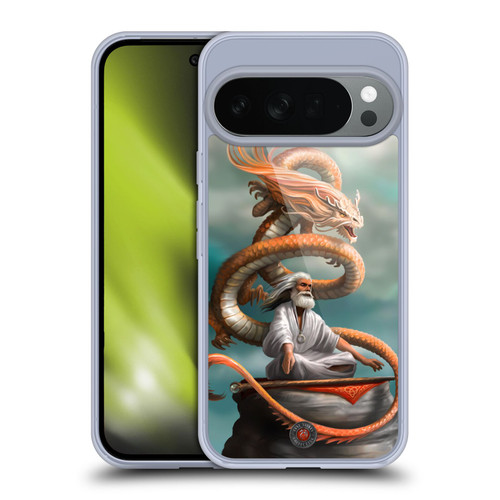 Anne Stokes Guardian Dragons The Hermit Soft Gel Case for Google Pixel 10