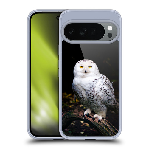 Patrik Lovrin Animal Portraits Majestic Winter Snowy Owl Soft Gel Case for Google Pixel 10