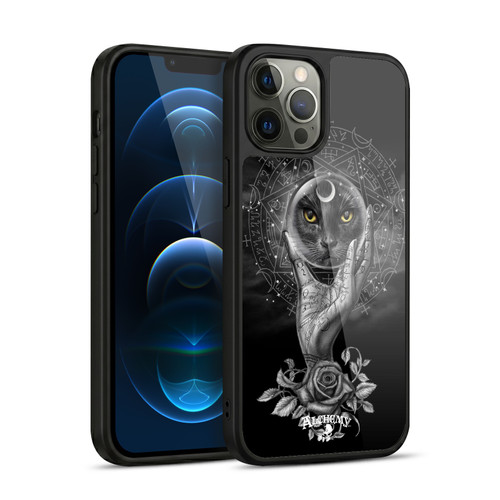 Alchemy Gothic Graphic Art Grimalkin's Glass Gel Armour Case For Apple iPhone 12 Pro Max