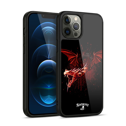 Alchemy Gothic Dragon Devils Travails Gel Armour Case For Apple iPhone 12 Pro Max