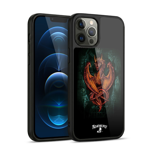 Alchemy Gothic Dragon Wyverex Auctor Gel Armour Case For Apple iPhone 12 Pro Max