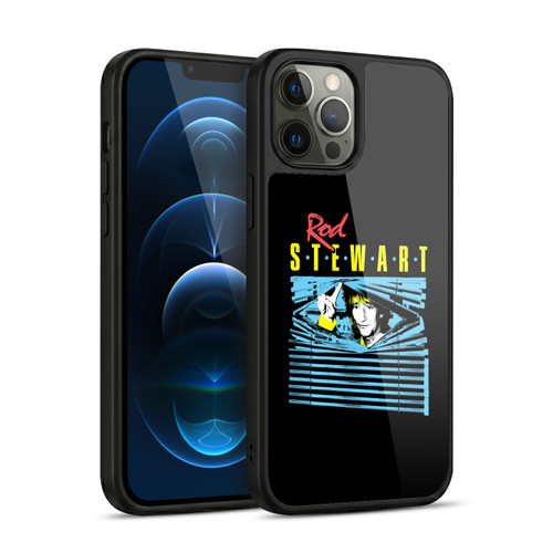 Rod Stewart Art Blinds Gel Armour Case For Apple iPhone 12 Pro Max