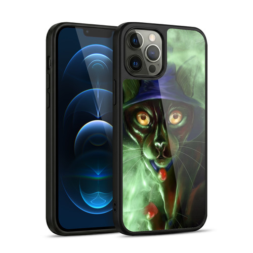 Ash Evans Black Cats Conjuring Magic Gel Armour Case For Apple iPhone 12 Pro Max