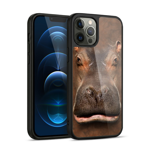 Vincent Hie Big Face Animals Hippo Gel Armour Case For Apple iPhone 12 Pro Max
