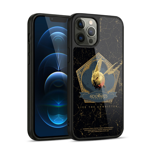Hogwarts Legacy Graphics Golden Snidget Gel Armour Case For Apple iPhone 12 Pro Max