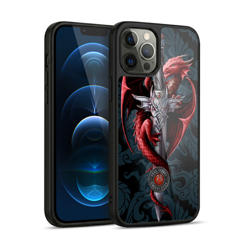 Anne Stokes Dragons Dagger Gel Armour Case For Apple iPhone 12 Pro Max