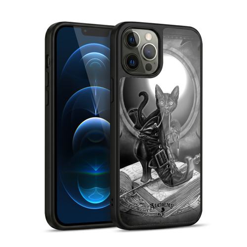 Alchemy Gothic Cats Midnight Mischief Gel Armour Case For Apple iPhone 12 Pro Max