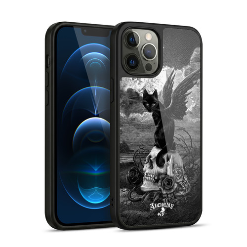 Alchemy Gothic Cats Nine Lives Of Poe Skull Gel Armour Case For Apple iPhone 12 Pro Max