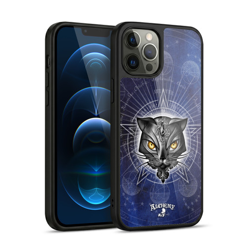 Alchemy Gothic Cats Star Of Ailouros Gel Armour Case For Apple iPhone 12 Pro Max