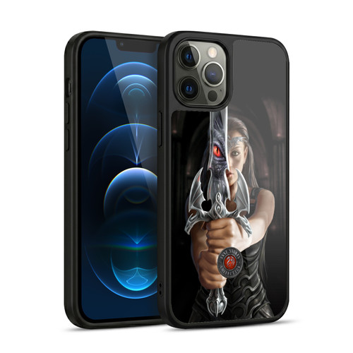Anne Stokes Dragons 3 Reflection Gel Armour Case For Apple iPhone 12 Pro Max