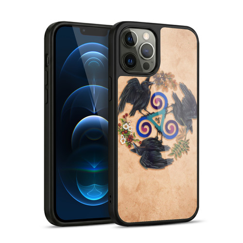 Brigid Ashwood Celtic Wisdom Raven Fey Gel Armour Case For Apple iPhone 12 Pro Max