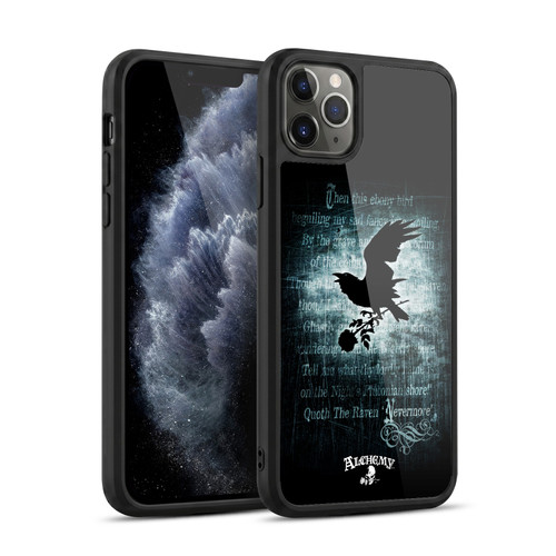 Alchemy Gothic Wing Nevermore Gel Armour Case For Apple iPhone 11 Pro Max