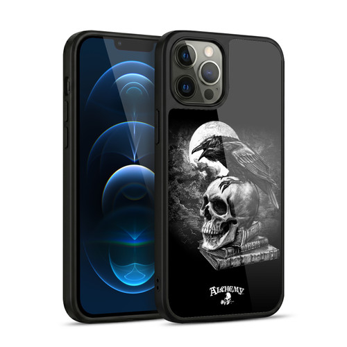 Alchemy Gothic Wing Poe's Raven Gel Armour Case For Apple iPhone 12 Pro Max