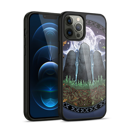 Brigid Ashwood Celtic Wisdom 3 Awen Stones Gel Armour Case For Apple iPhone 12 Pro Max