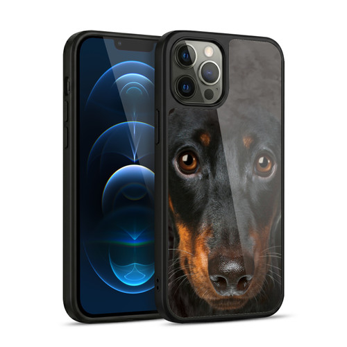 Vincent Hie Big Face Dogs Dachshund Gel Armour Case For Apple iPhone 12 Pro Max