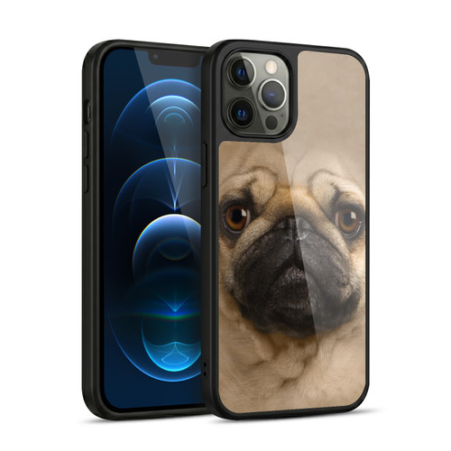 Vincent Hie Big Face Dogs Pug Gel Armour Case For Apple iPhone 12 Pro Max