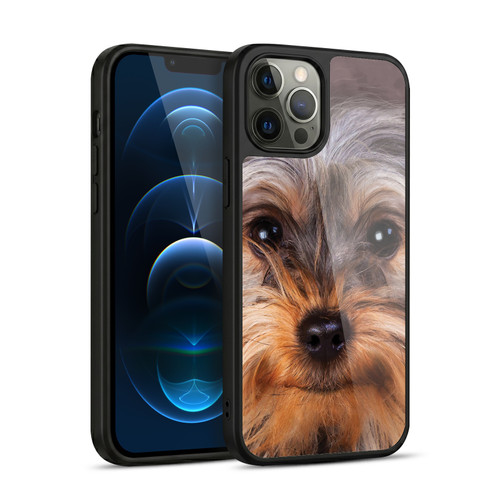 Vincent Hie Big Face Dogs Yorkshire Terrier Gel Armour Case For Apple iPhone 12 Pro Max