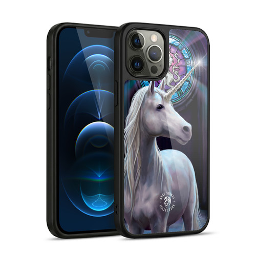 Anne Stokes Mythical Creatures Enlightenment Gel Armour Case For Apple iPhone 12 Pro Max