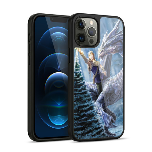 Anne Stokes Yule Winter Fantasy Gel Armour Case For Apple iPhone 12 Pro Max