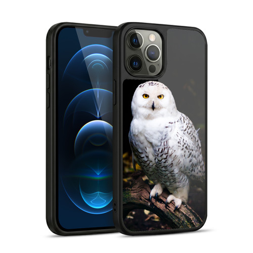 Patrik Lovrin Animal Portraits Majestic Winter Snowy Owl Gel Armour Case For Apple iPhone 12 Pro Max