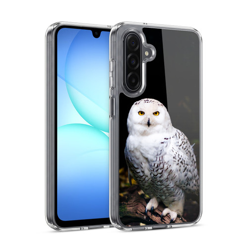 Patrik Lovrin Animal Portraits Majestic Winter Snowy Owl Soft Gel Case for Samsung Galaxy A17 4G / 5G