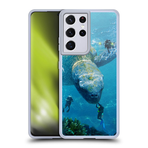 Dave Loblaw Sea Turtle Divers Soft Gel Case for Samsung Galaxy S21 Ultra 5G & MagSafe
