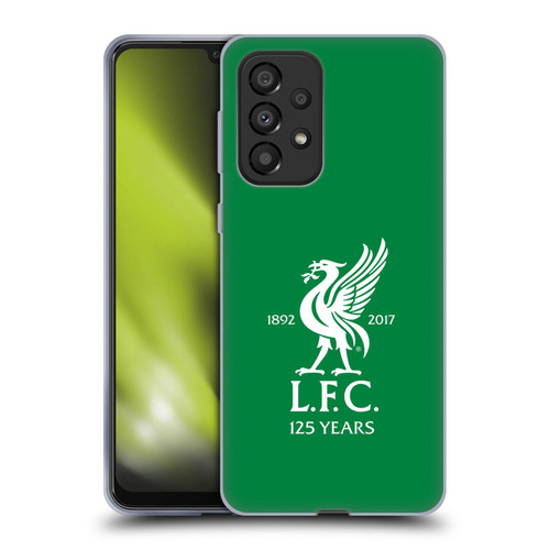 Liverpool Football Club Kit 2017/18 Home Goalkeeper Shirt Soft Gel Case for Samsung Galaxy A33 5G (2022)
