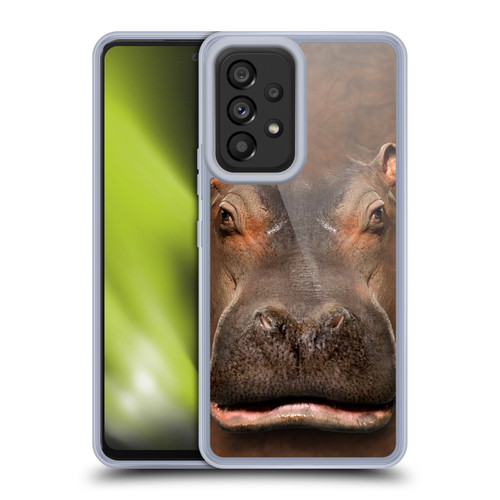 Vincent Hie Big Face Animals Hippo Soft Gel Case for Samsung Galaxy A53 5G (2022)