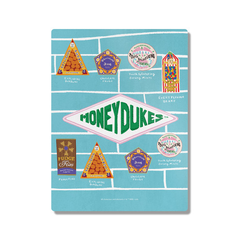 Harry Potter Graphics Honeydukes 300X400mm Portrait Metal Wall Art Print - Wall Decor for Living Room, Bedroom & Gaming Room