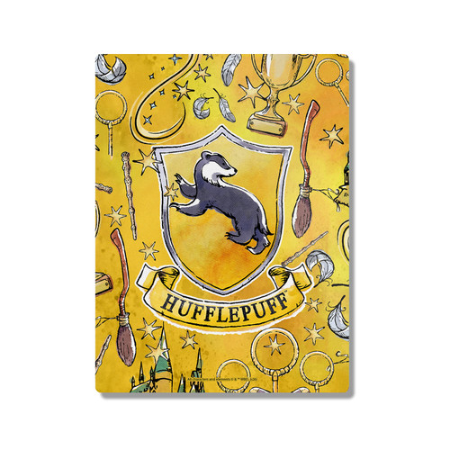 Harry Potter Graphics Hufflepuff 300X400mm Portrait Metal Wall Art Print - Wall Decor for Living Room, Bedroom & Gaming Room