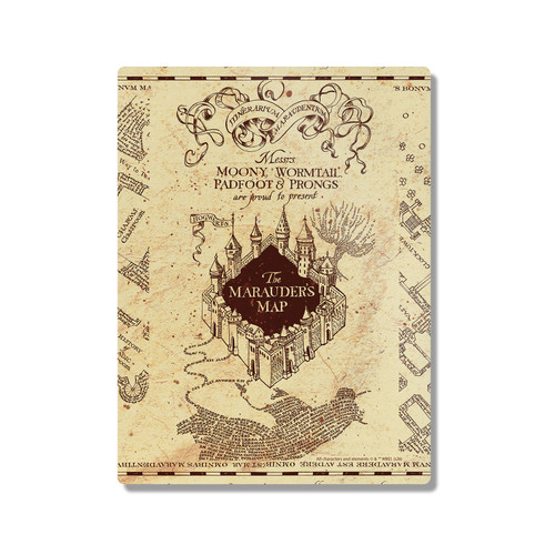 Harry Potter Graphics The Marauder's Map 300X400mm Portrait Metal Wall Art Print - Wall Decor for Living Room, Bedroom & Gaming Room
