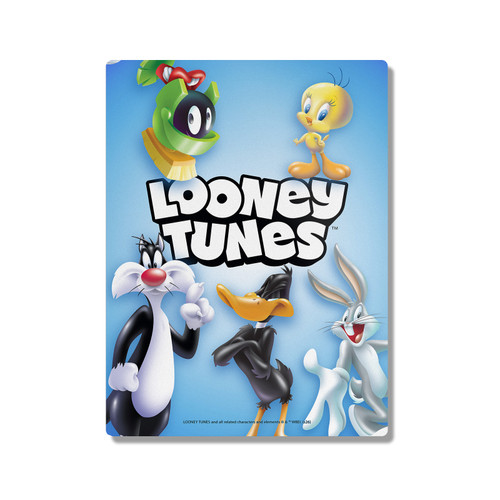 Looney Tunes Character Art Logo 300X400mm Portrait Metal Wall Art Print - Wall Decor for Living Room, Bedroom & Gaming Room
