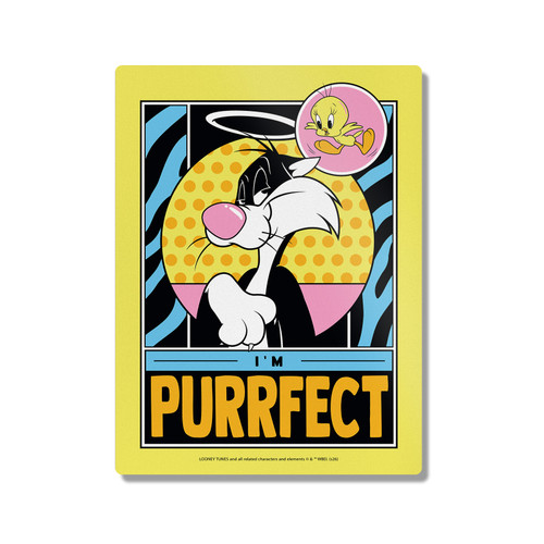 Looney Tunes Character Art Sylvester and Tweety 300X400mm Portrait Metal Wall Art Print - Wall Decor for Living Room, Bedroom & Gaming Room