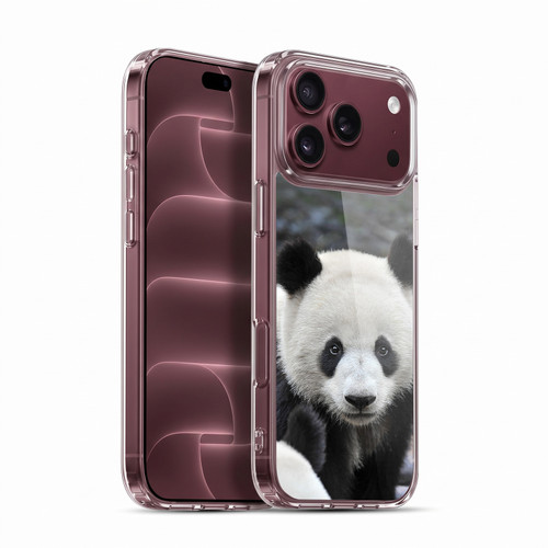 Head Case Designs Wildlife Close-Up Panda Soft Gel Case for Apple iPhone 18 Pro Max