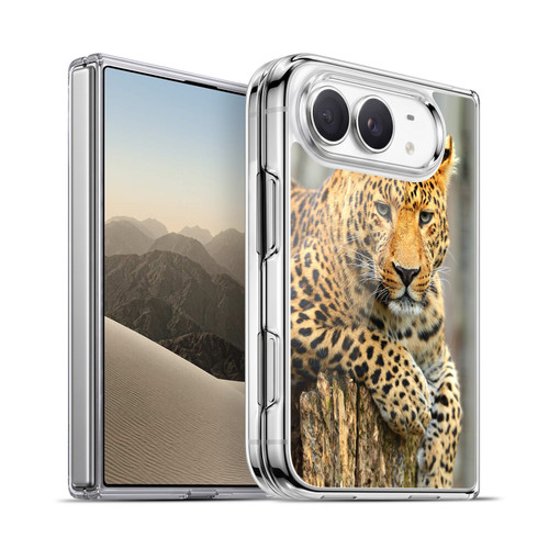 Head Case Designs Wildlife Leopard Portrait Soft Gel Case for Apple iPhone Duo