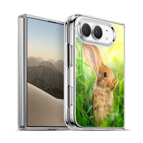 Head Case Designs Wildlife Little Easter Rabbit Soft Gel Case for Apple iPhone Duo