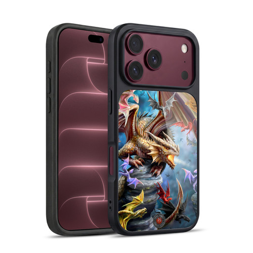 Anne Stokes Dragons 4 Clan Gel Armour Case For Apple iPhone 18 Pro