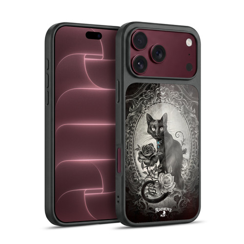 Alchemy Gothic Cats Paracelsus Gel Armour Case For Apple iPhone 18 Pro Max