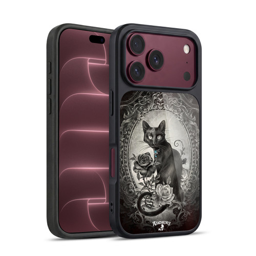 Alchemy Gothic Cats Paracelsus Gel Armour Case For Apple iPhone 18 Pro