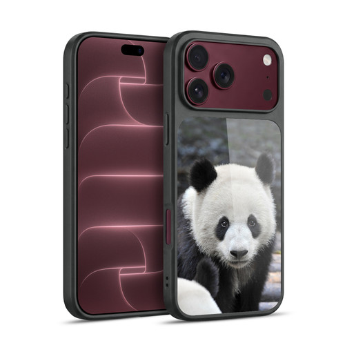 Head Case Designs Wildlife Close-Up Panda Gel Armour Case For Apple iPhone 18 Pro Max