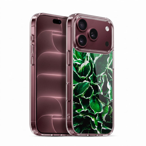 PLdesign Flowers And Leaves Hosta Undulata Albomarginata Soft Gel Case for Apple iPhone 18 Pro