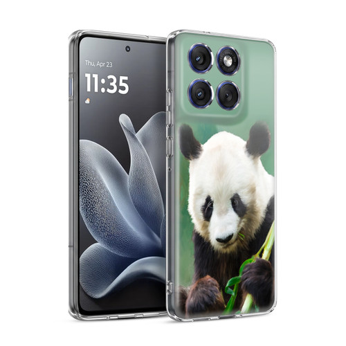 Simone Gatterwe Nature Series Panda Soft Gel Case for Motorola Edge 70