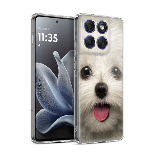 Vincent Hie Big Face Puppies Maltese Soft Gel Case for Motorola Edge 70