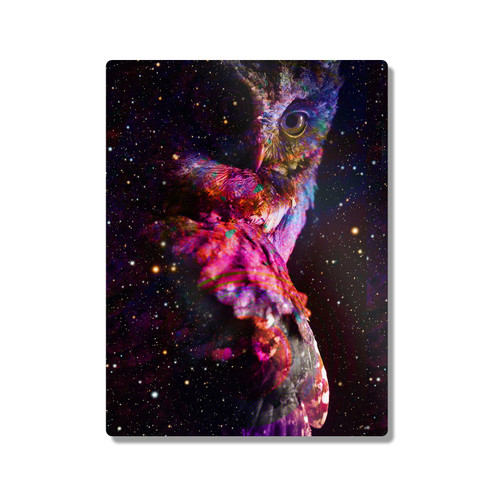 Dave Loblaw Artistic Animals Night Owl 300X400mm Portrait Metal Wall Art Print - Wall Decor for Living Room, Bedroom & Gaming Room