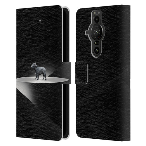 Klaudia Senator French Bulldog 2 Wandering Leather Book Wallet Case Cover For Sony Xperia Pro-I