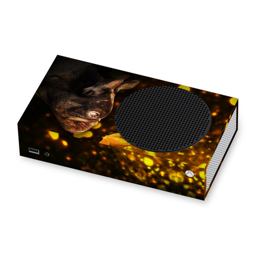 Klaudia Senator French Bulldog Butterfly Vinyl Sticker Skin Decal Cover for Microsoft Xbox Series S Console